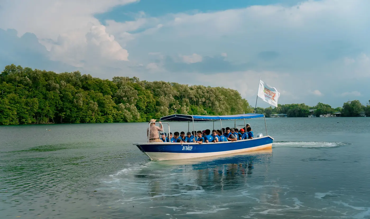 Mangrove Forest Adventure - Nature Experience