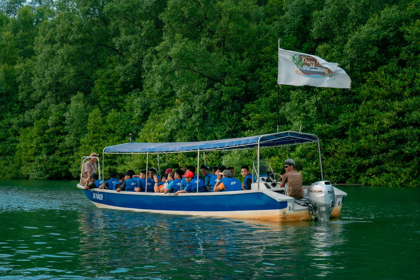 Mangrove Forest Adventure - Wildlife Sightings
