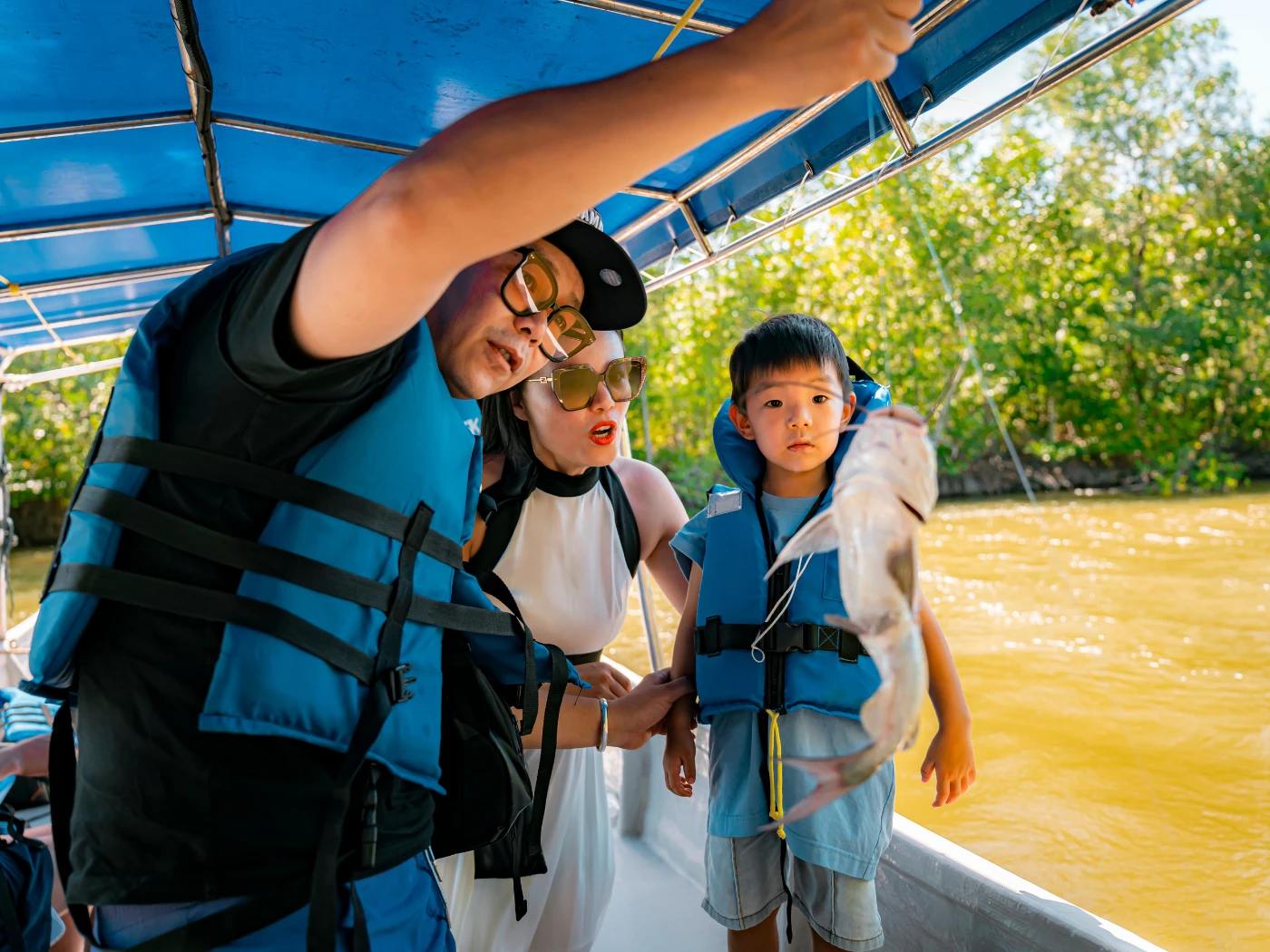 Mangrove Forest Exploratio